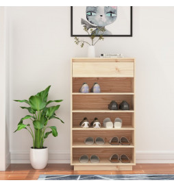 Armoire à chaussures...