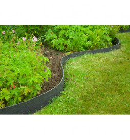 Nature Bordure de jardin...