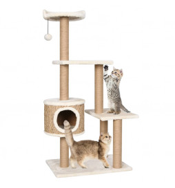 Arbre à chat avec griffoirs...