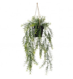 Emerald Buisson suspendu...
