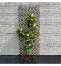 Nature Treillis de jardin...