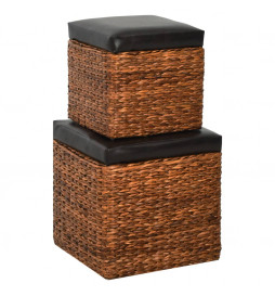 Repose-pieds 2 pcs Jacinthe...