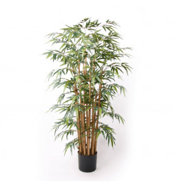 Emerald Bambou artificiel...