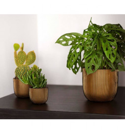 Capi Ensemble de jardinière...