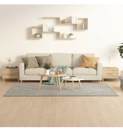 Tables basses 2 pcs chêne...