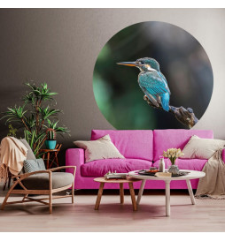 WallArt Papier peint cercle...