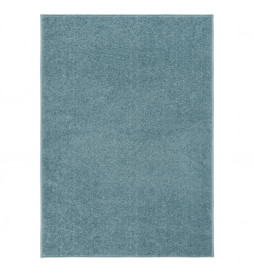 Tapis à poils courts...