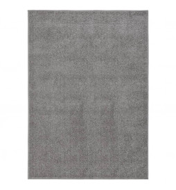 Tapis à poils courts...