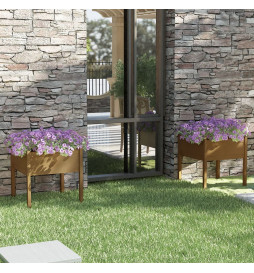 Jardinières 2 pcs Marron...