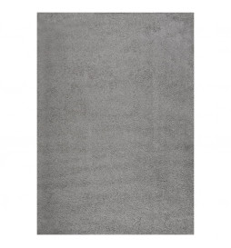 Tapis shaggy à poils longs...