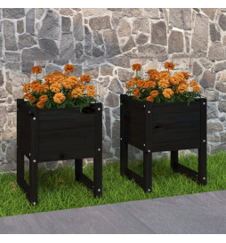 Jardinières 2 pcs Noir...