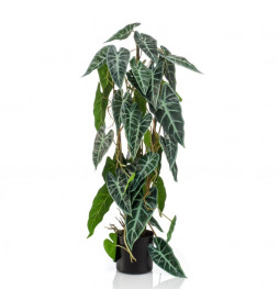 Emerald Alocasia artificiel...