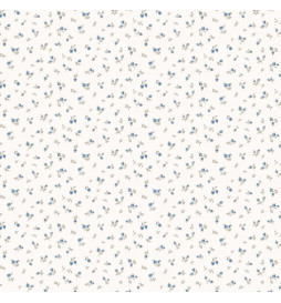 Noordwand Papier peint...