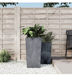 Jardinière et intérieur...