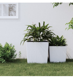 Jardinière et intérieur...