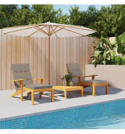 Coussins de chaise longue...