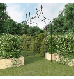 Arches de jardin 2 pcs Noir...