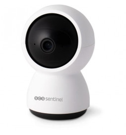 Caméra de surveillance...