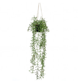 Emerald Buisson suspendu...