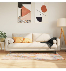 Tapis lavable multicolore...