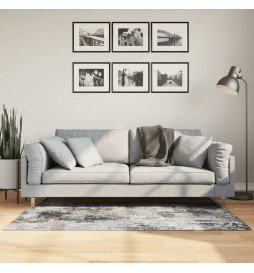 Tapis lavable multicolore...