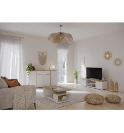 Ensemble Salon ACCESS :...