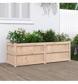 Jardinière 150x50x50 cm...