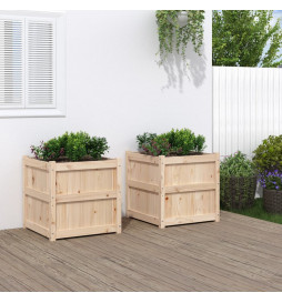 Jardinières 2 pcs bois de...