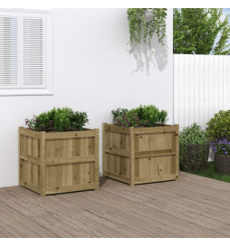 Jardinières 2 pcs bois de...