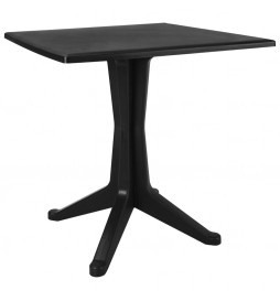 Table de jardin Anthracite...