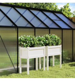 Jardinières 2 pcs avec...