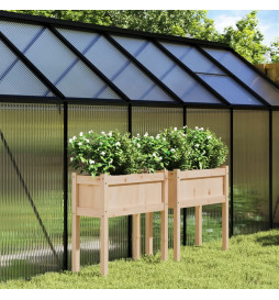 Jardinières 2 pcs avec...