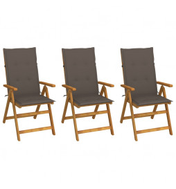 Chaises pliables de jardin...