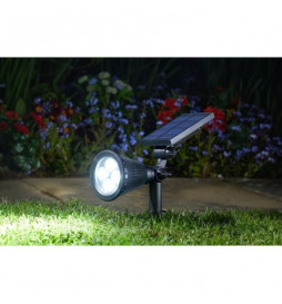 Spot Lumi 70L, Mail Order