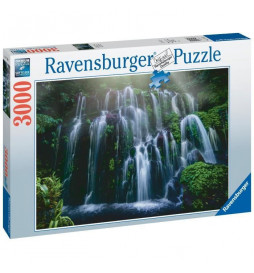 Puzzle 3000 pieces -...