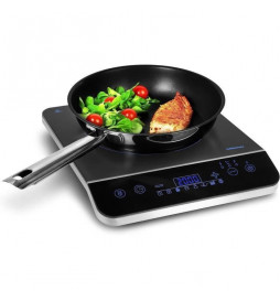 Plaque induction posable -...