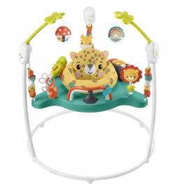 Fisherprice - Jumperoo...