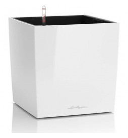 Pot de fleur - LEC - Cube...