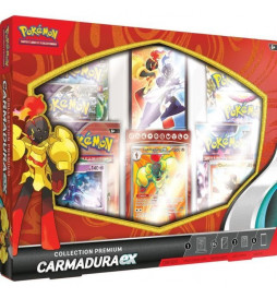 Pokémon : Coffret Premium...