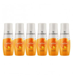 Lot de 6 Concentrés Saveur...