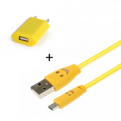 Pack Chargeur pour IPHONE Lightning (Cable Smiley LED + Prise Secteur USB) APPLE Connecteur