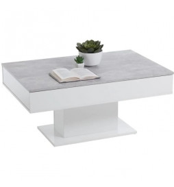 Table basse bicolore avec...
