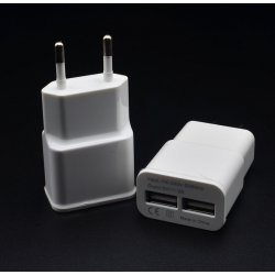 Adaptateur Double USB Prise Murale 2 Ports Secteur Courant AC Chargeur Blanc (5V-2A) Universel