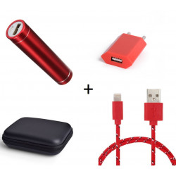 Pack pour IPHONE (Cable Chargeur Lightning Tresse 3m + Pochette + Batterie + Prise Secteur) APPLE