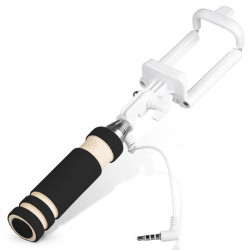 Mini Perche Selfie pour Smartphone avec Cable Jack Selfie Stick Android IOS Réglable Bouton Photo 